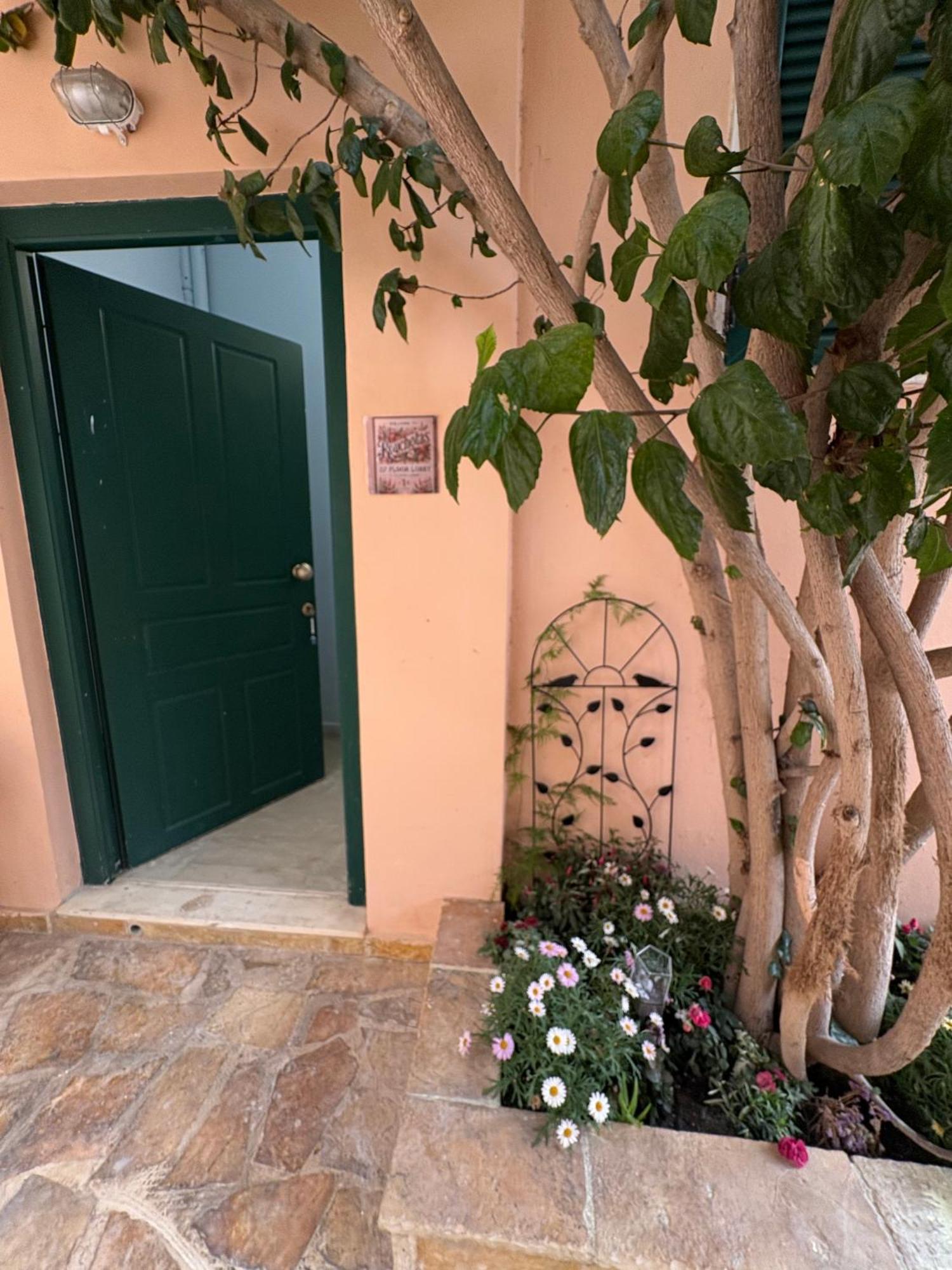 Rouchotas Studios By Viktor 1Rst Floor Argostoli  Exterior photo
